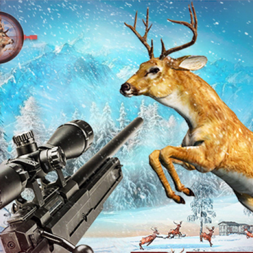 Deer Hunting Sniper Shooting