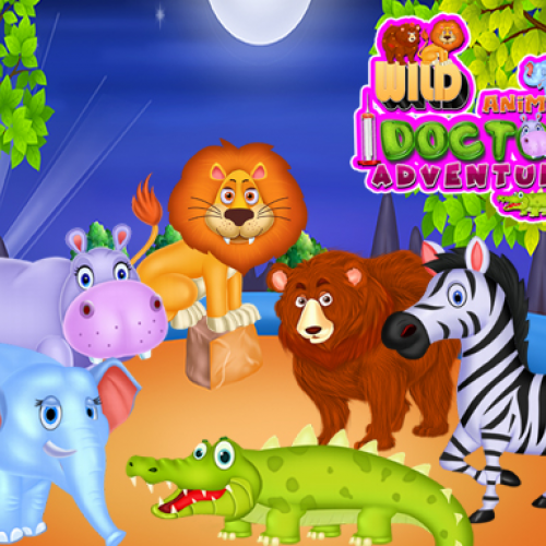 Wild Animal Doctor Adventure