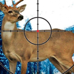 Sniper Stag Hunter