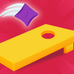 Corn Hole 3D