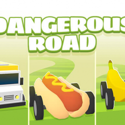 Dangerous Roads